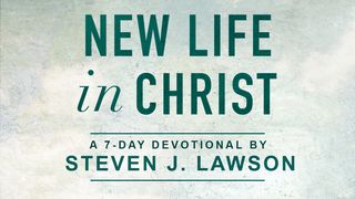 New Life In Christ John 19:41-42 New International Version