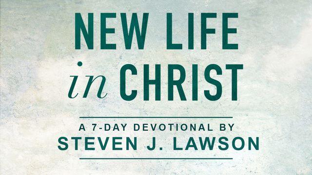 New Life In Christ