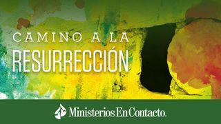 Camino a la Resurrección Marcos 11:16 Nueva Versión Internacional - Español