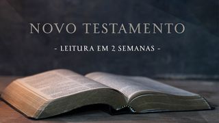 Novo Testamento João 20:21-22 Almeida Revista e Atualizada