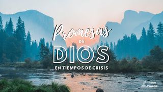 Promesas de Dios en tiempos de crisis Isaías 26:3 Nueva Versión Internacional - Español