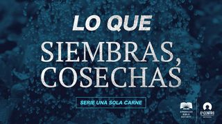 [Serie Una sola carne] Lo que siembras, cosechas Efesios 5:20 Nueva Versión Internacional - Español