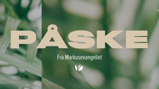 Påske Markus 15:9 The Bible in Norwegian 1978/85 bokmål