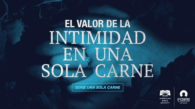 [Serie Una sola carne] El valor de la intimidad en una sola carne