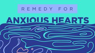 COVID-19: Remedy For Anxious Hearts Revelation 21:1-8 English Standard Version 2016