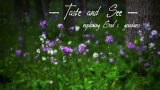 Taste and See: Exploring God's Goodness Sh'mot (Exo) 33:19 Complete Jewish Bible