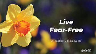 Live Fear-Free: A Practical Biblical Guide Luke 12:22 New International Version (Anglicised)