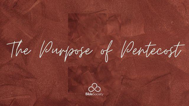 The Purpose of Pentecost