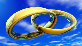 El pacto matrimonial en una sola carne Mateo 19:6 Nueva Versión Internacional - Español