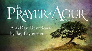 The Prayer of Agur: A 5-Day Devotional by Jay Payleitner Proverbs 30:7-9 The Message