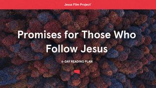 Promises for Those Who Follow Jesus John 6:38-40 King James Version