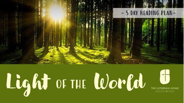 Light Of The World
