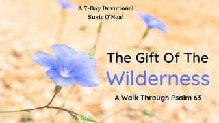 The Gift of the Wilderness Exodus 34:29 New Living Translation