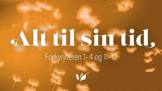 Alt til sin tid Forkynneren 2:10 Norsk Bibel 88/07