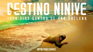 Destino Ninive. 3 Días Dentro De Una Ballena! Jonás 3:5 Nueva Versión Internacional - Español