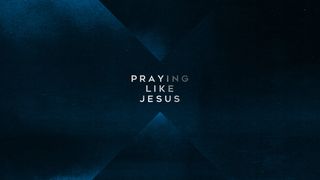 Praying Like Jesus Job 10:1-3 New International Version