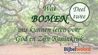 Wat bomen ons kunnen leren over God en zijn Koninkrijk — deel 2 2 Petrus 3:9 Het Boek