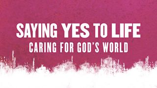 Saying Yes To Life Genesis 2:1-2 New International Version