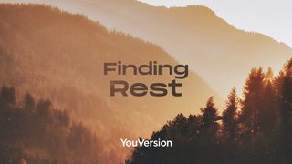 Finding Rest John 10:4 New Living Translation