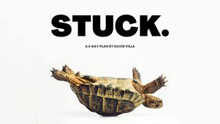 Stuck Job 11:18 English Standard Version 2016