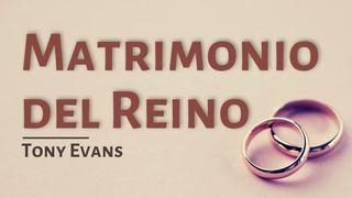 Matrimonio Del Reino Génesis 2:25 Reina Valera Contemporánea