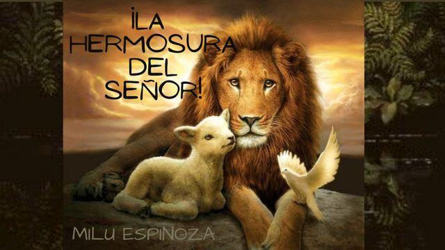 ¡La hermosura del Señor! 