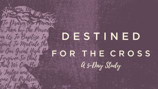 Destined for the Cross Luke 24:45-49 The Message
