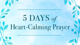 5 Days of Heart-Calming Prayer Psalms 62:8 New International Version