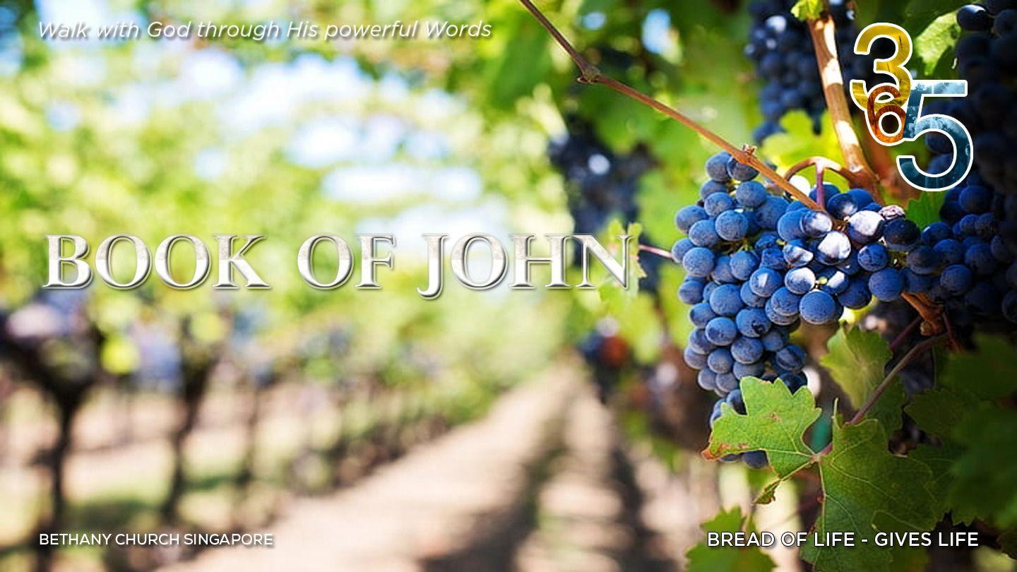 Book of John John 1 New International Version