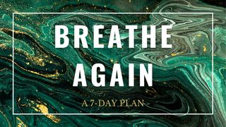 Breathe Again: A 7-Day Plan Matthew 12:34-37 The Message