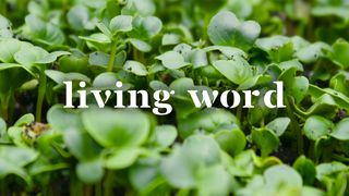 Living Word Luke 8:14 New Living Translation