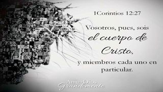 Principios para cultivar actitudes en pro de la unidad del cuerpo de Cristo 1 Corintios 8:9 Nueva Versión Internacional - Español