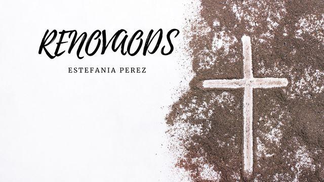 RENOVADOS 