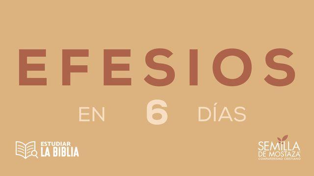 Estudiar la Biblia - Efesios en 6 Días