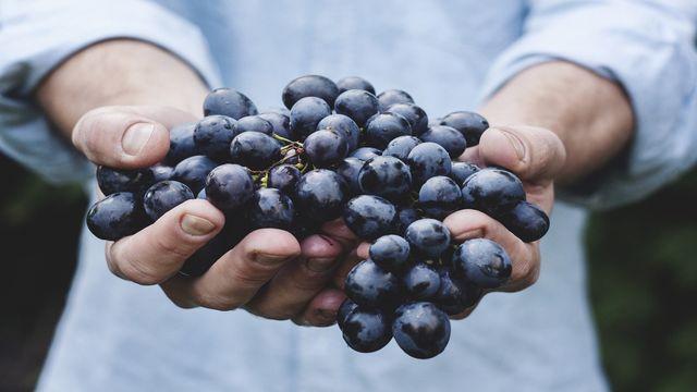 Communicating at Work with the Fruit of the Spirit