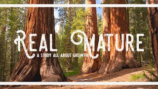 Real Mature: What You Can Do to Grow Your Faith Matthew 13:20 New International Version