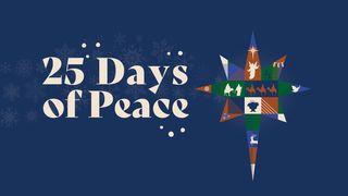 Christmas: 25 Days of Peace Galatians 1:3-4 New American Bible, revised edition