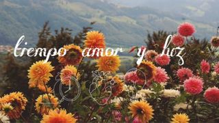 "Tiempo, Amor Y Luz" Eclesiastés 3:1-8 Nueva Traducción Viviente