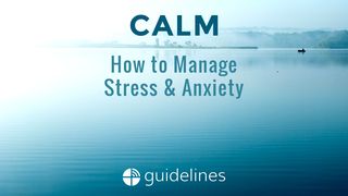 Calm: How to Manage Stress & Anxiety Proverbs 12:25 New American Bible, revised edition