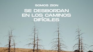 Sobrecarga en Los Caminos Duros  Génesis 37:22 Nueva Versión Internacional - Español