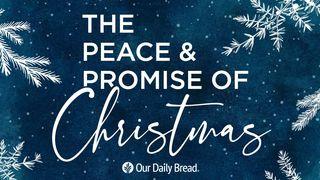 The Peace and Promise of Christmas John 17:1-3 New Living Translation