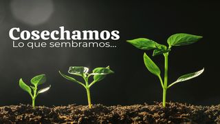 Cosechamos Los Que Sembramos Santiago 3:9-10 Nueva Versión Internacional - Español