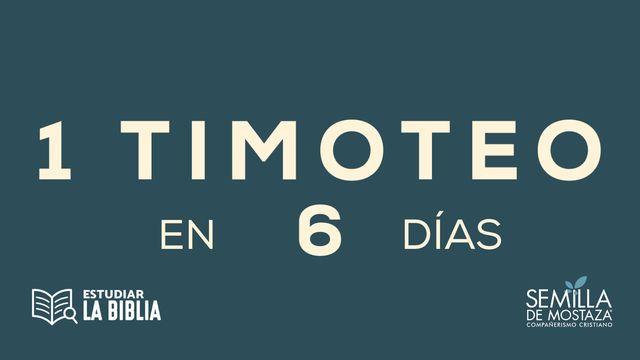 Estudiar la Biblia - 1 Timoteo en 6 Días