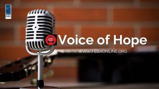Voice of Hope Psalms 121:3-4 The Message