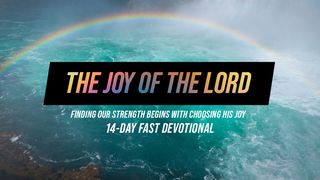 The Joy of the Lord Psalms 4:6 New International Version