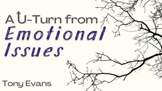 A U-Turn From Emotional Issues Proverbs 3:5-6 New King James Version