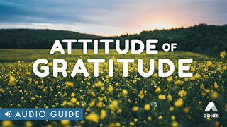 Attitude of Gratitude Luke 17:15-16 New Living Translation
