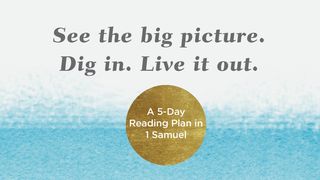 See the Big Picture. Dig In. Live It Out: A 5-Day Reading Plan in 1 Samuel  The Books of the Bible NT