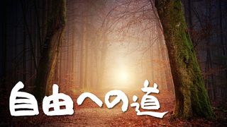 自由への道 - 神様の真理を受け取る１６日間 ヨハネによる福音書 3:16 Seisho Shinkyoudoyaku 聖書 新共同訳