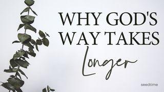 Why God's Way Takes Longer Galatians 6:9-10 Common English Bible